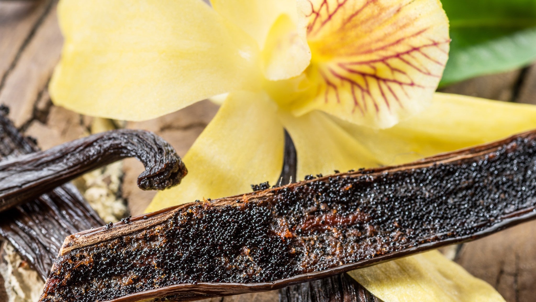 vanilla flower and bean